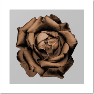 Orange Charcoal Rose Posters and Art